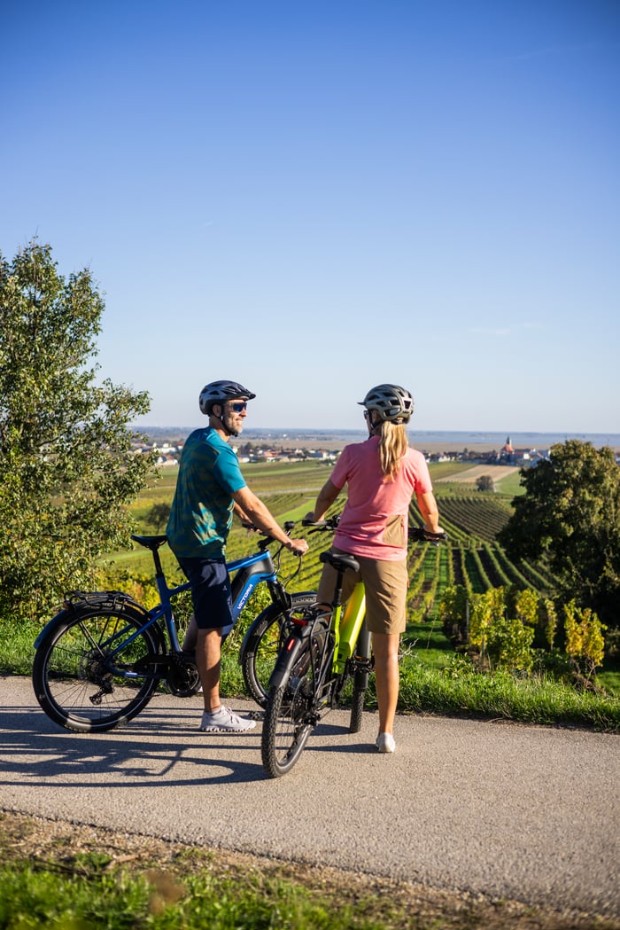 Velontour Basispaket (bis 30 Betten) image