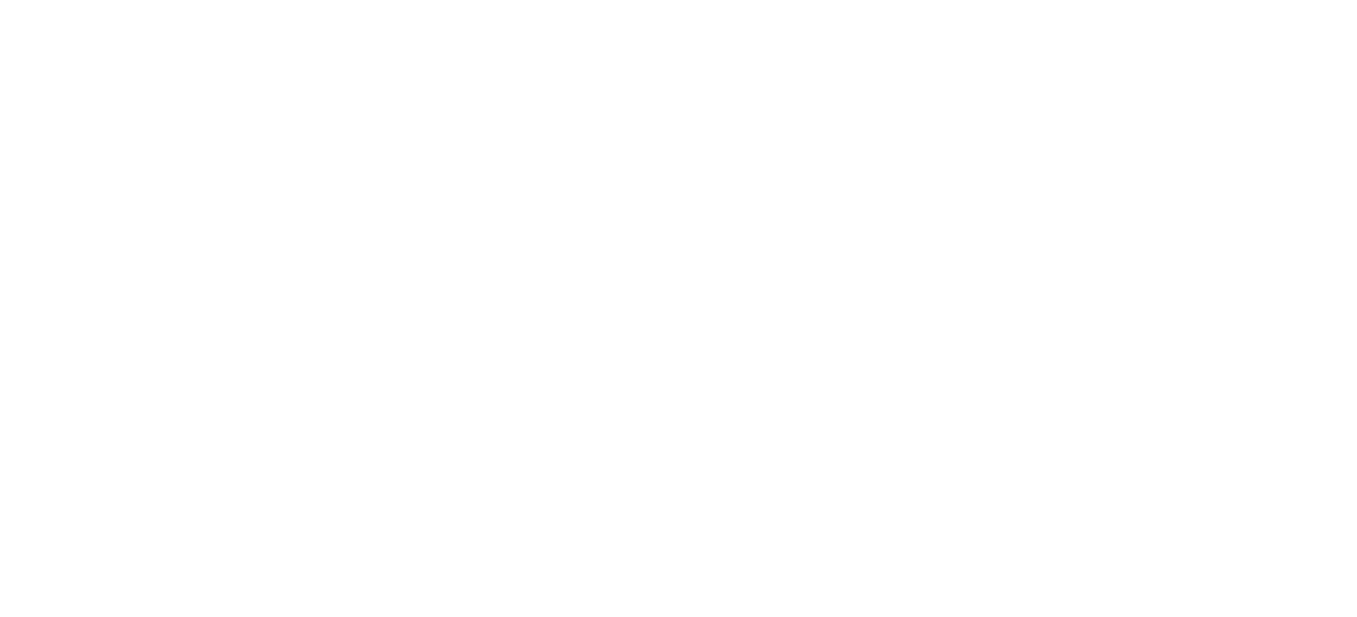 Velontour_Logo_white